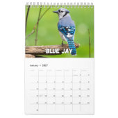 Birds Showcase Collectie Wall Agenda Kalender (Jan 2027)