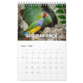 Birds Showcase Collectie Wall Agenda Kalender (Mar 2026)