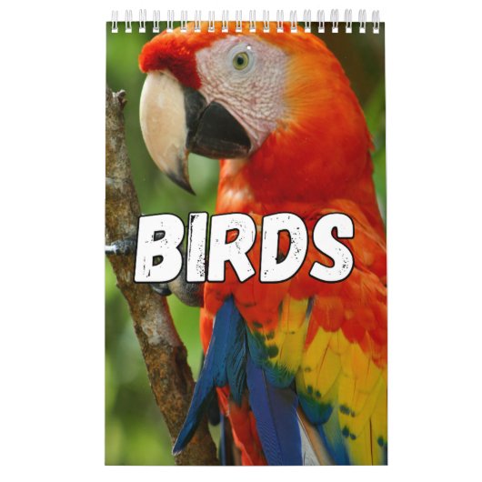 Birds Showcase Collectie Wall Agenda Kalender (Hoes)