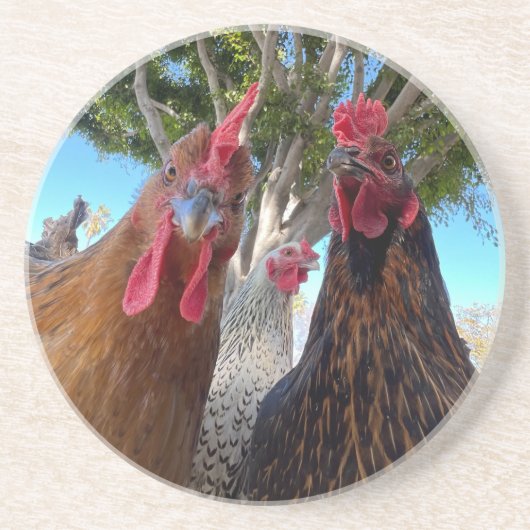 Birds with Attitude Sandstone Coaster Zandsteen Onderzetter (Voorkant)