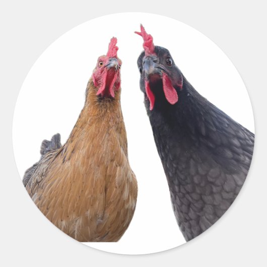 Birds with Attitude Sticker (Voorkant)