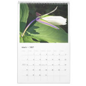 Birdseye Cards 2008 Kalender (Mar 2027)