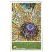 Birdseye Cards 2008 Kalender (Hoes)