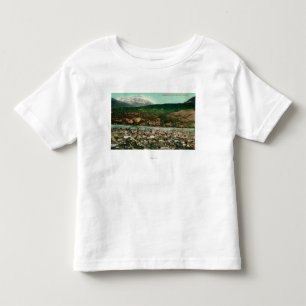 Birdseye Uitzicht van Skagway, Alaska Skagway, AK Kinder Shirts