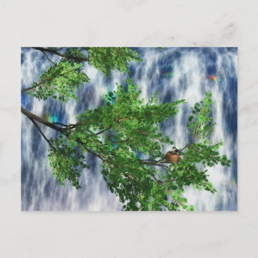 Birdsnest Falls-ansichtkaart Briefkaart (Voorkant)