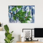 Birdsnest Falls Print (Thuiskantoor)