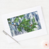 Birdsnest Herfsten Stickers (Envelop)