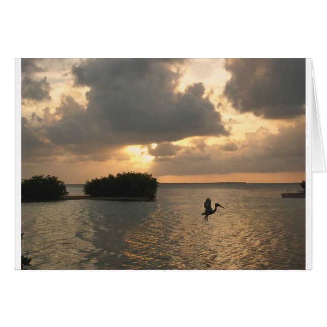 birdsun.jpg (Voorkant Horizontaal)