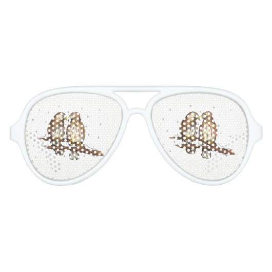 Birdwatch Winter Tortelduifjes Kerstmis Aviator Zonnebril (Voorkant)