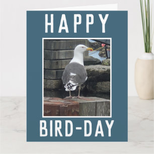 Birdwatcher of Vogelliefhebber Verjaardag Kaart
