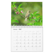 Birdwatchers Association 2025 Fotokalender Kalender (Jan 2027)