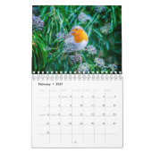 Birdwatchers Association 2025 Fotokalender Kalender (Feb 2027)
