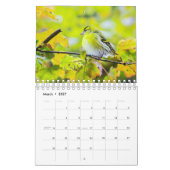 Birdwatchers Association 2025 Fotokalender Kalender (Mar 2027)