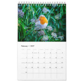 Birdwatchers Association 2025 Fotokalender Kalender (Feb 2027)