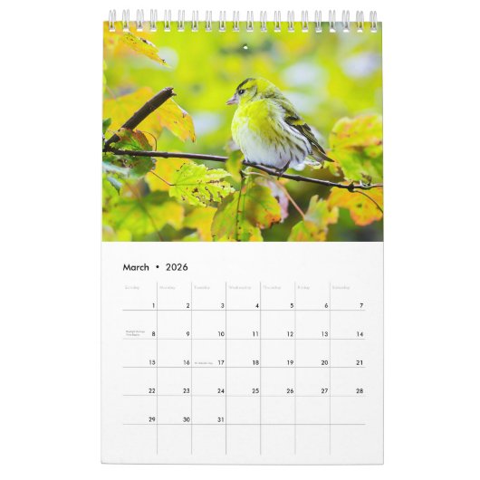 Birdwatchers Association 2025 Fotokalender Kalender (Mar 2026)
