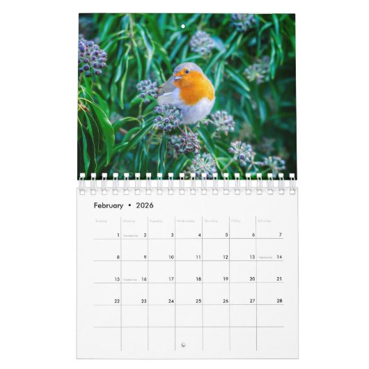 Birdwatchers Association 2025 Fotokalender Kalender (Feb 2026)