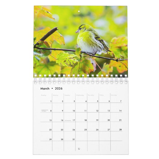 Birdwatchers Association 2025 Fotokalender Kalender (Mar 2026)