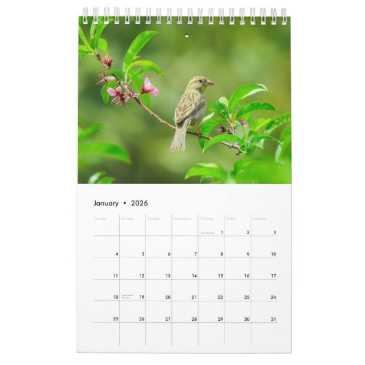 Birdwatchers Association 2025 Fotokalender Kalender (Jan 2026)