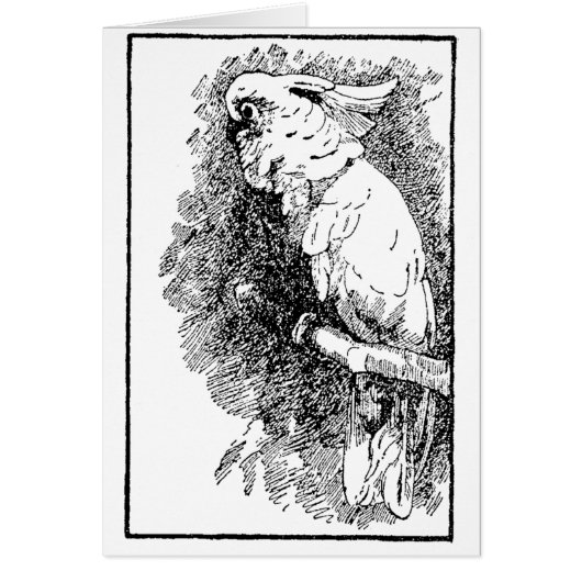 Birdy (Voorkant)