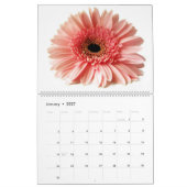 Birdy Kalender (Jan 2027)