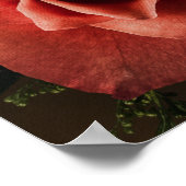 Birkat Kohanim - de priesterzegen in het Hebreeuws Poster (Hoek)