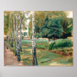 Birkenallee im Wannseegarten Poster