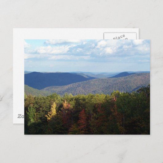 Birkshires Briefkaart (Voorkant / Achterkant)