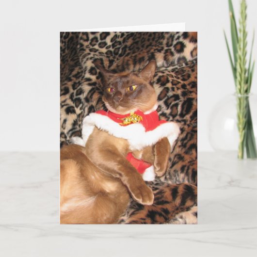 Birmaan 2 van Kerstmis FPG - Feestdagen Kaart (Voorkant)