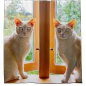 Birmaanse katten Kate en Bobby douchegordijn (Voorkant)