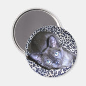 Birmaanse magneet (Voorkant / Achterkant)