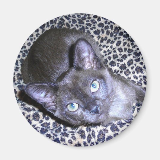 Birmaanse magneet (Voorkant)