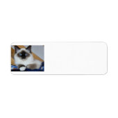 birman 2.png etiket (Voorkant)
