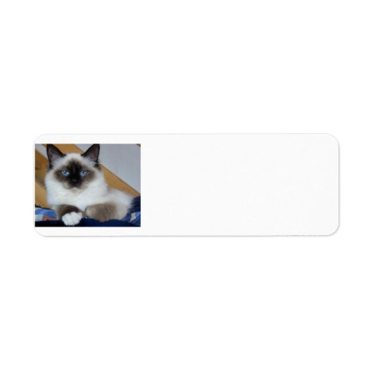 birman 2.png etiket (Voorkant)