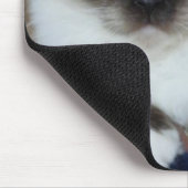 birman 2.png muismat (Hoek)