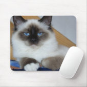 birman 2.png muismat (Met muis)