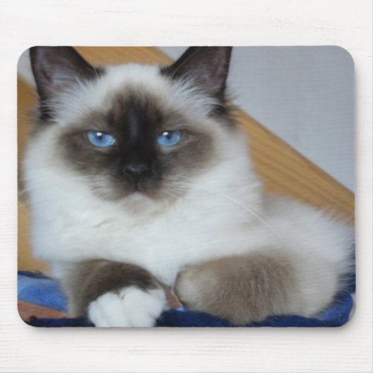 birman 2.png muismat (Voorkant)