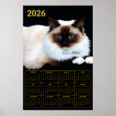 Birman Cat 2026 Calendar  Poster (Voorkant)