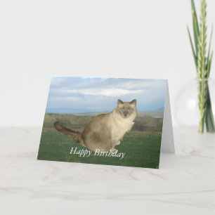 Birman Cat Birthday Kaart