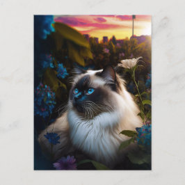 Birman Cat in City Garden op Sundown Briefkaart