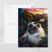 Birman Cat in City Garden op Sundown Briefkaart (Voorkant / Achterkant)