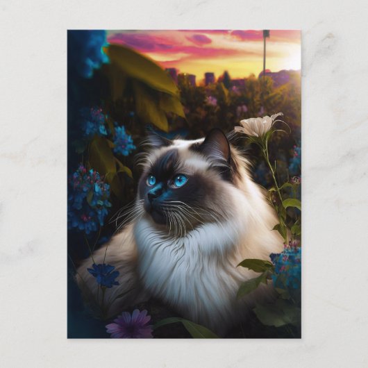 Birman Cat in City Garden op Sundown Briefkaart (Voorkant)