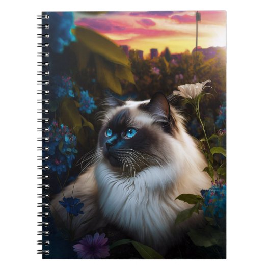 Birman Cat in City Garden op Sundown Notitieboek (Voorkant)