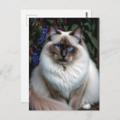 Birman Cat in het Briefkaart van de tuin (Voorkant / Achterkant)