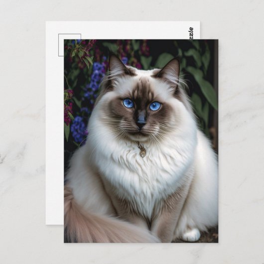 Birman Cat in het Briefkaart van de tuin (Voorkant / Achterkant)