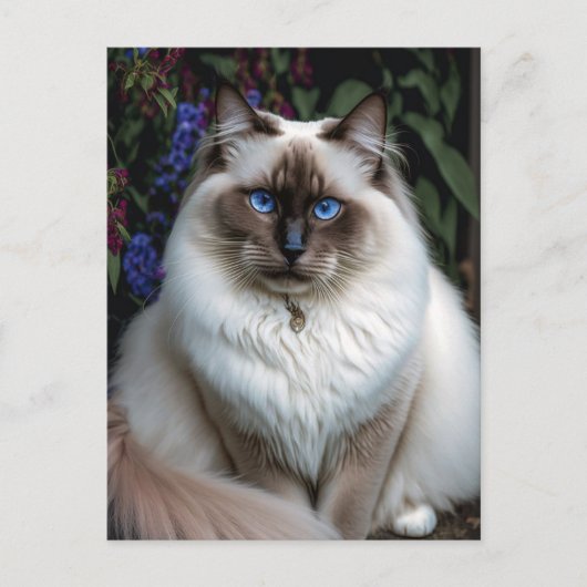 Birman Cat in het Briefkaart van de tuin (Voorkant)