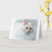 Birman Cat Kaart (Gele Bloem)