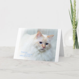 Birman Cat Kaart