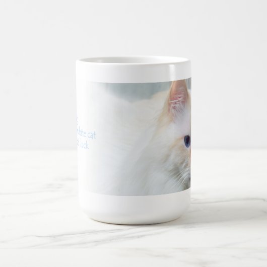 Birman Cat Mok (Center)