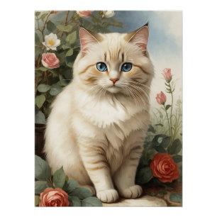 Birman Cat Perfect Poster