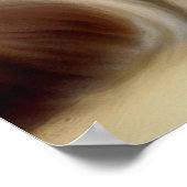 Birman Cat Poster (Hoek)